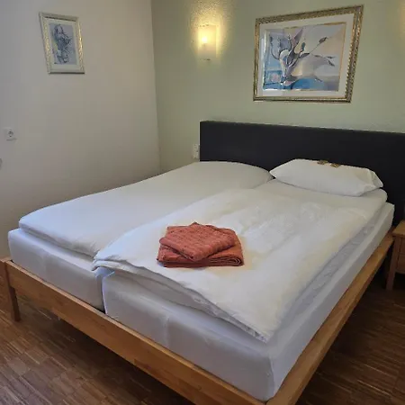 Camelia Apartment *