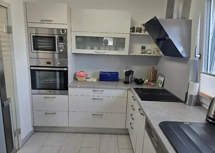 Camelia Bad Rappenau