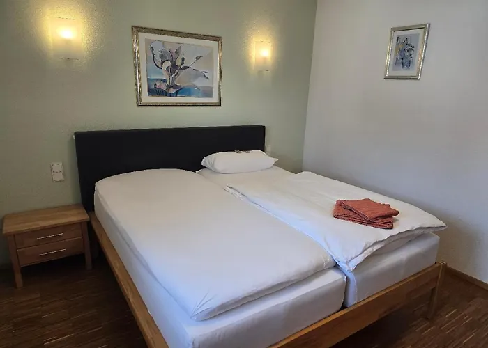 Camelia Bad Rappenau